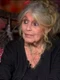 brigitte bardot acum foto X BFMTV jpg