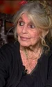 brigitte bardot acum foto X BFMTV jpg