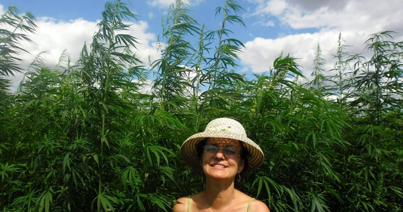 Leontina Prodan a cultivat cânepă ca ”lot experimental” în grădina mamei sale