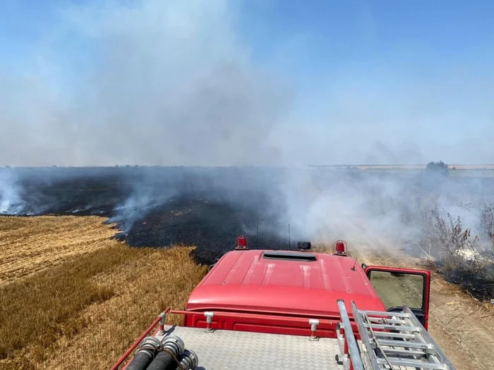 Incendiu pe 30 de hectare în comuna Jilavele FOTO ISU Ialomiţa