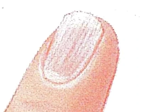2 jpg jpeg