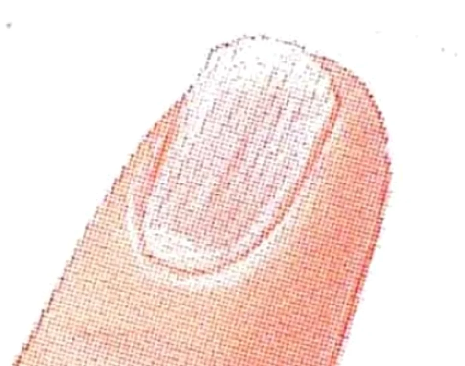 2 jpg jpeg