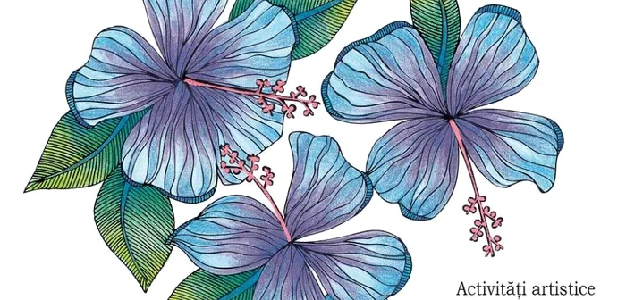 armonii florale