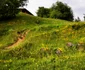 cetatea dacica costesti foto daniel guta adevarul