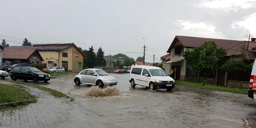 inundatii alba