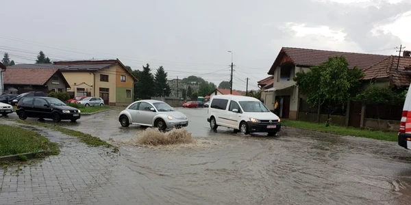 inundatii alba