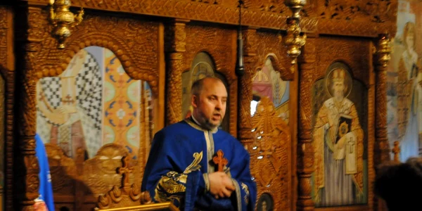 vasile fodorut