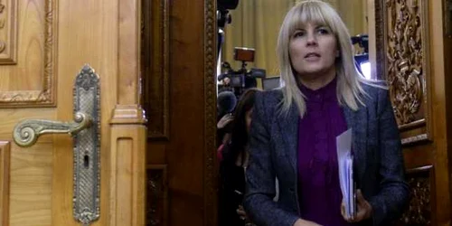 Elena Udrea la Comisia Juridica FOTO Mediafax