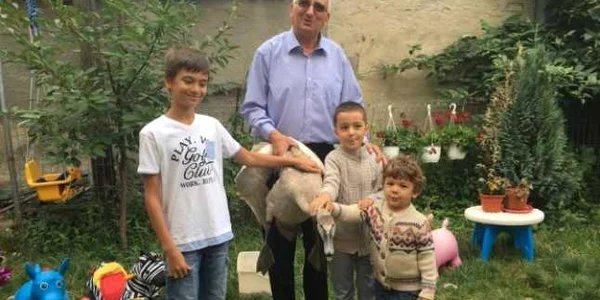 Puiul de lebădă a fost dus la Grădina Zoologică 