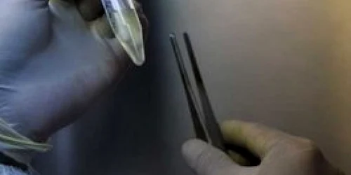 500.000 de doze de vaccin împotriva gripei AH1N1 vor pleca gratis spre R. Moldova