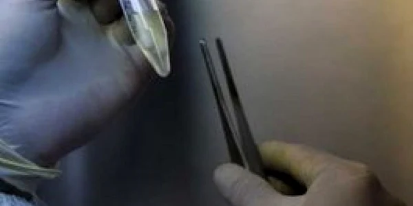 500.000 de doze de vaccin împotriva gripei AH1N1 vor pleca gratis spre R. Moldova