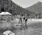 retezat 1963 foto viorel simionescu