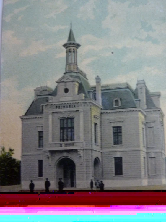 primaria