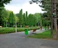 parc6