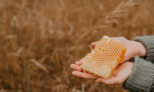 1 beneficiile fagurelui de miere jpg jpeg