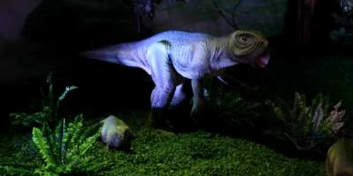 Experţii americani au o nouă teorie legată de dispariţia dinozaurilor
