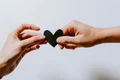 1 kelly sikkema 4le7k9xvyje unsplash jpg jpeg