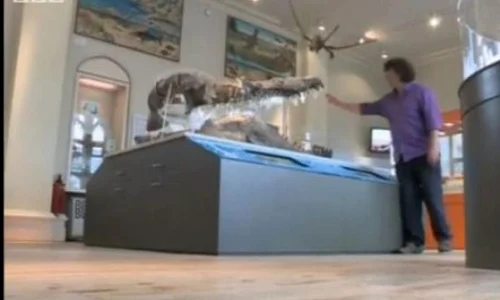 Cel mai mare prădător descoperit vreodată ar fi putut înghiţi un om dintr o muşcătură VIDEO jpeg