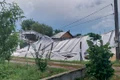 SOLARII MATCA2 jpg