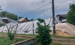 SOLARII MATCA2 jpg