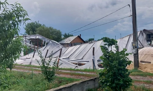 SOLARII MATCA2 jpg