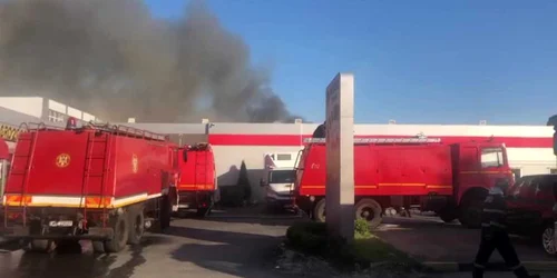 5ed3d42c5163ec42715972a2 jpg