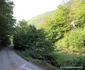 Valea Luncani Cioclovina Foto Daniel Guță ADEVĂRUL (4) JPG