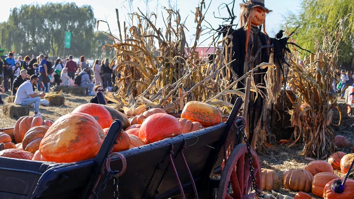 O căruţă veche de 100 de ani a fost expusă la festival. FOTOGRAFII: Facebook/ Primăria Sectorului 6