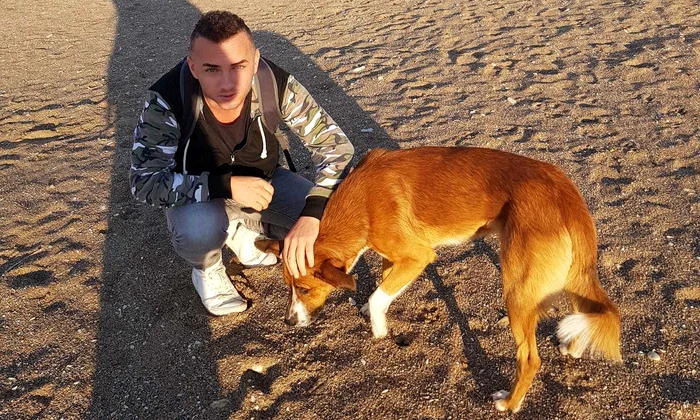 4 mihai1 jpg jpeg