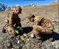 militari dolomiti  02 Julia Alpine Brigade jpg