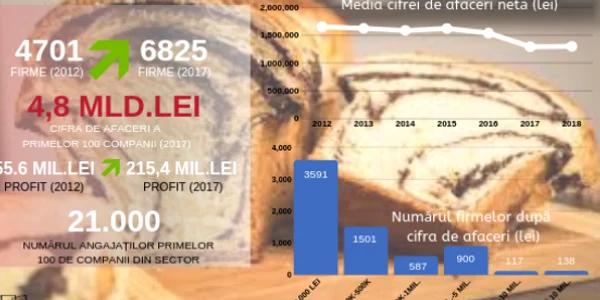 infografic cozonaci