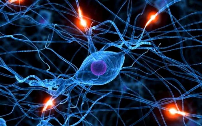 Postul și neuroștiința FOTO arhivă Adevărul