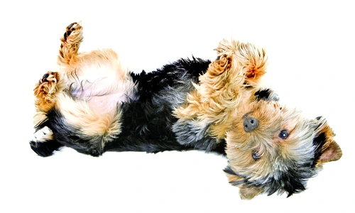 1 47750 original jpg jpeg