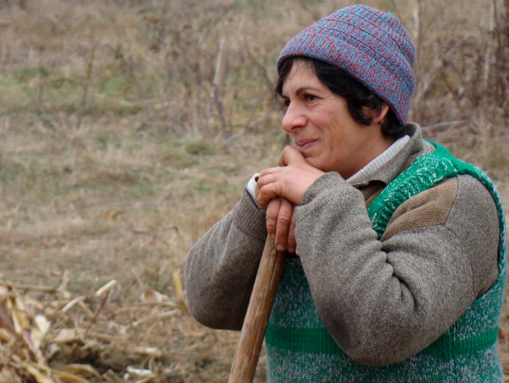 zambetul amar al estului