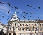 cluj