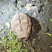 grenada neexplodata la Galati foto isu galati jpg