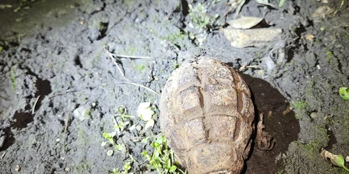 grenada neexplodata la Galati foto isu galati jpg