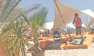 2 3 neatza foto 1 3 col zoom mult jpeg