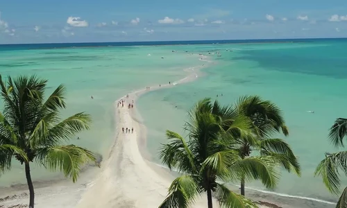Foto Plaja Maragogi Alagoas jpg