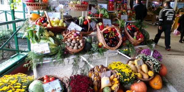 produse agroalimentare