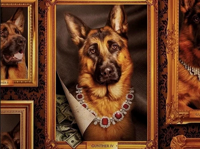 Documentarul poate fi urmărit pe Netflix (foto: Netflix)