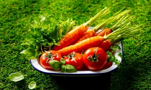 legume shutterstock1 jpeg