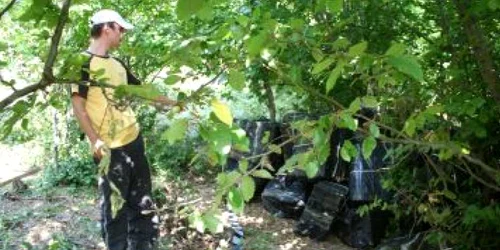 Satu Mare: Captură de proporţii pe seama unor cărăuşi