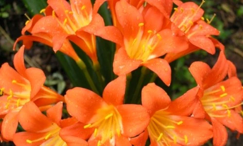 1 47366 original jpg jpeg