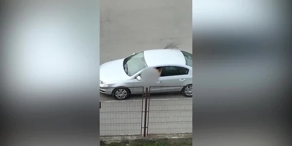 624f25665163ec427122c25f jpg