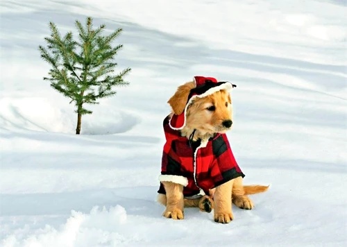 1 46850 original jpg jpeg