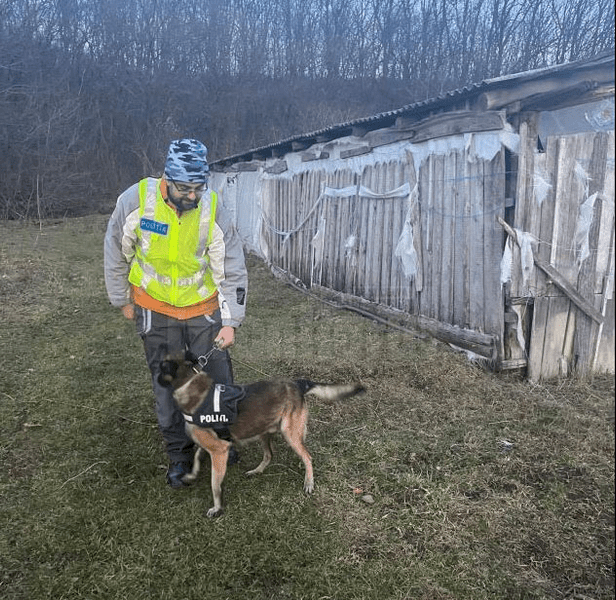 Un tânăr care voia să se sinucidă de Crăciun a fost salvat de Coh, câinele polițist din Suceava