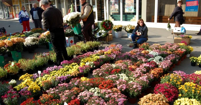 Flori pentru Ziua Morţilor FOTO: citynews.ro