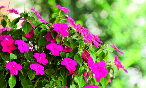 1 58709 original jpg jpeg