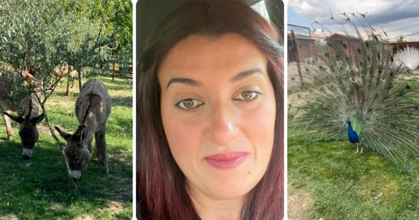În prezent, ferma sa cuprinde peste 300 de animale / foto: Il Fatto Quotidiano